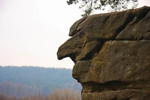 Zielone Wzgorza Ciezkowice