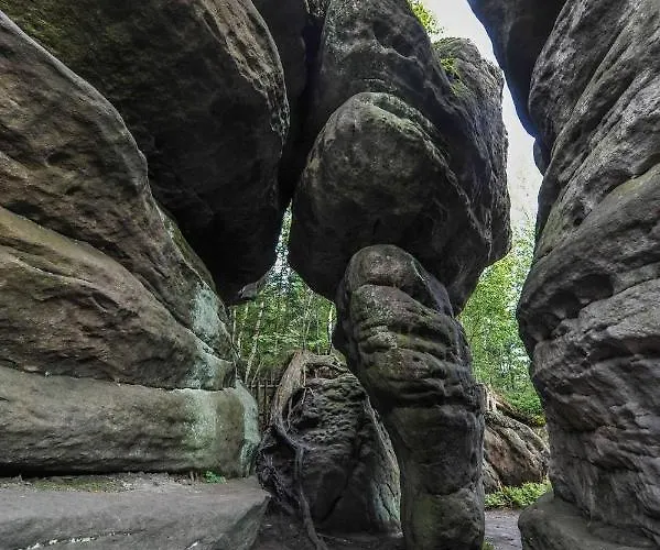 Zielone Wzgorza * Ciezkowice