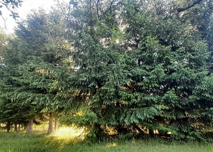 Zielone Wzgorza Alpstuga