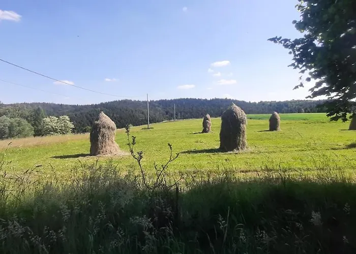 Alpstuga Zielone Wzgorza Ciezkowice